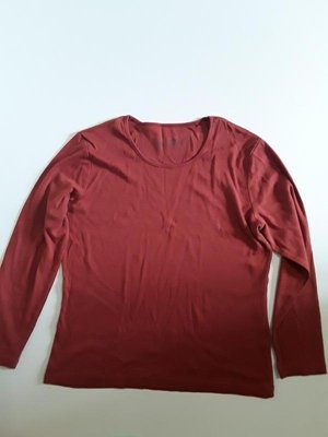 Фірмовий реглан лонгслив блуза 22129268 фото